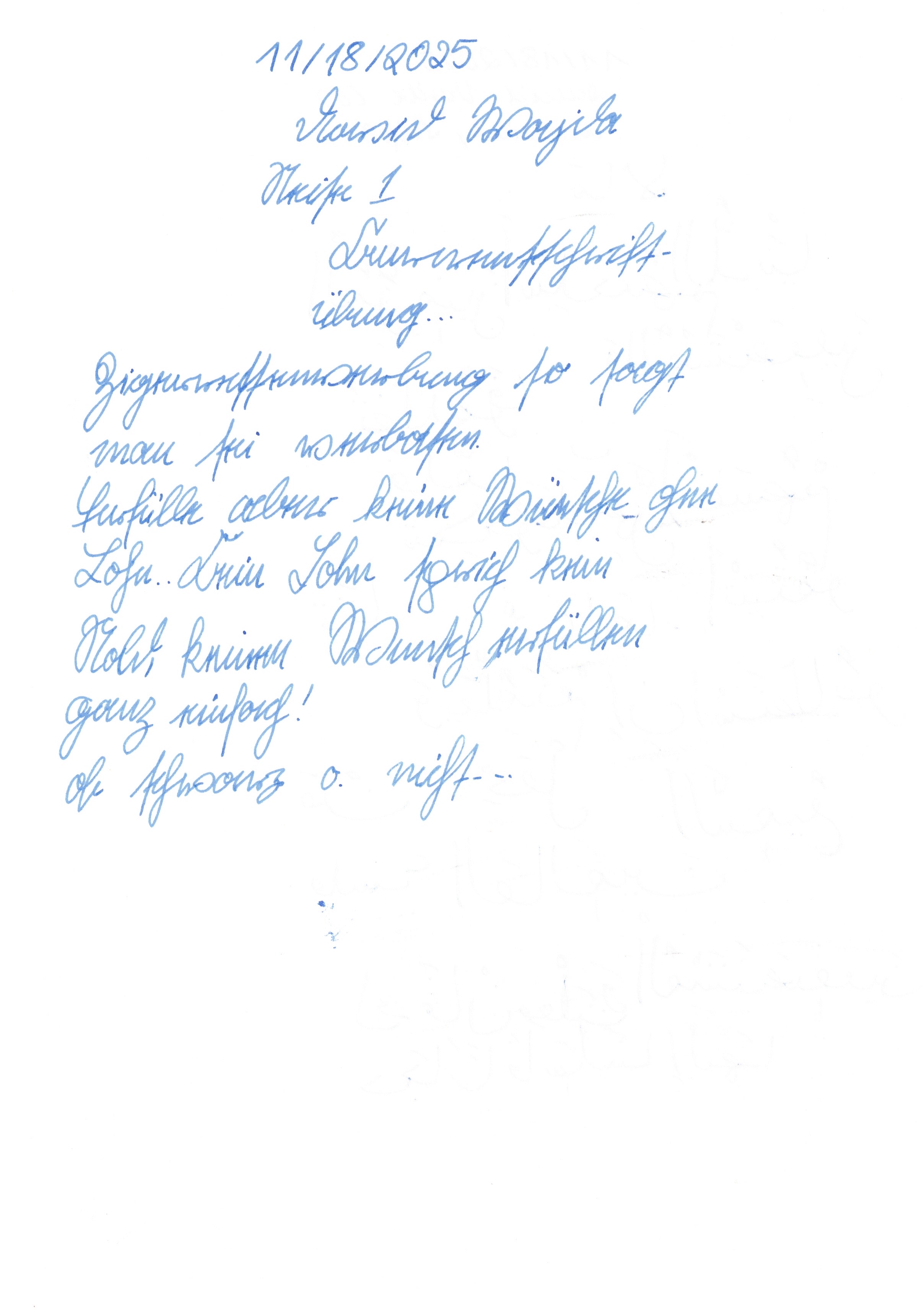 Image 202511301937_158