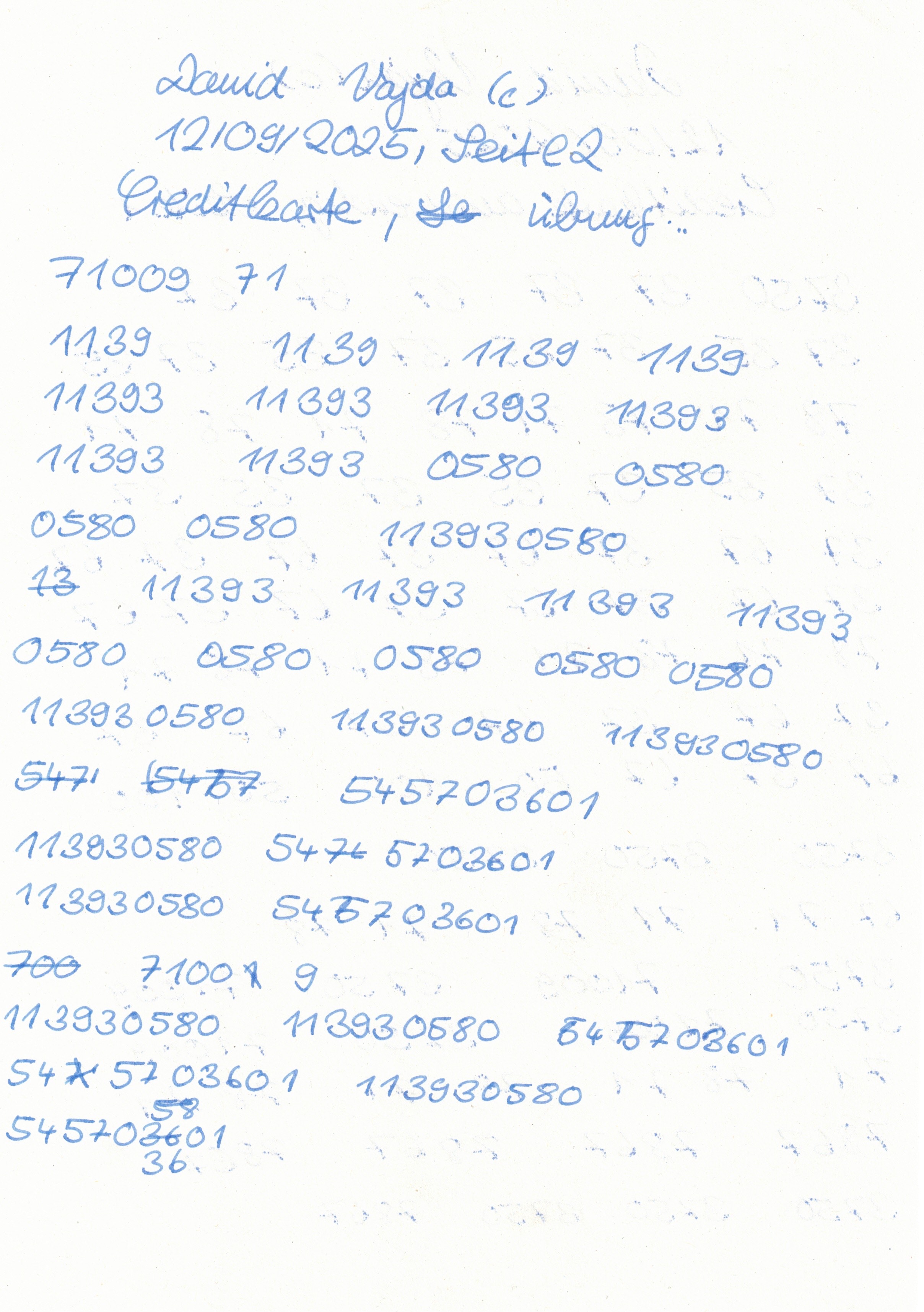 Image 202512112045_5